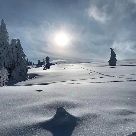 Feldberg, direkt an der Skipiste, urgemütliche Stube9 Feldberg  Exterior foto