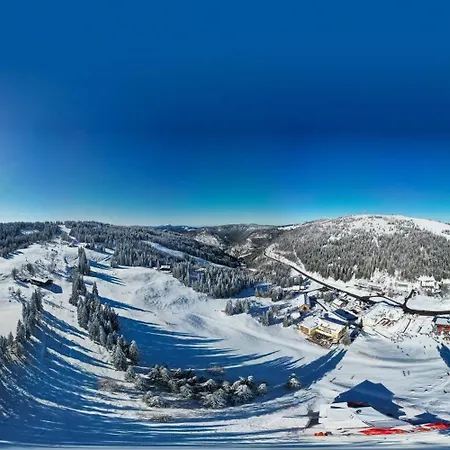 Feldberg, direkt an der Skipiste, urgemütliche Stube9 Feldberg  Exterior foto