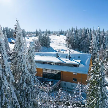 Feldberg, direkt an der Skipiste, urgemütliche Stube9 Feldberg  Exterior foto