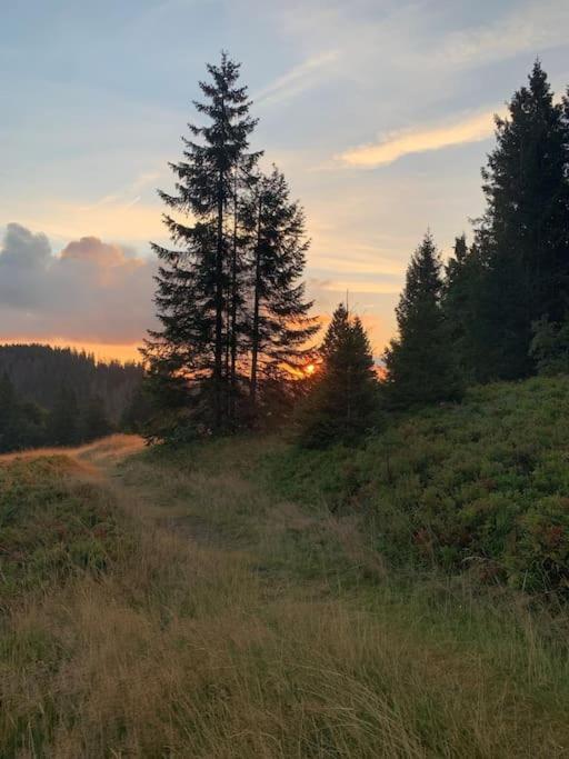 Feldberg, Direkt An Der Skipiste, Urgemütliche Stube9 Feldberg (Baden-Wurttemberg)