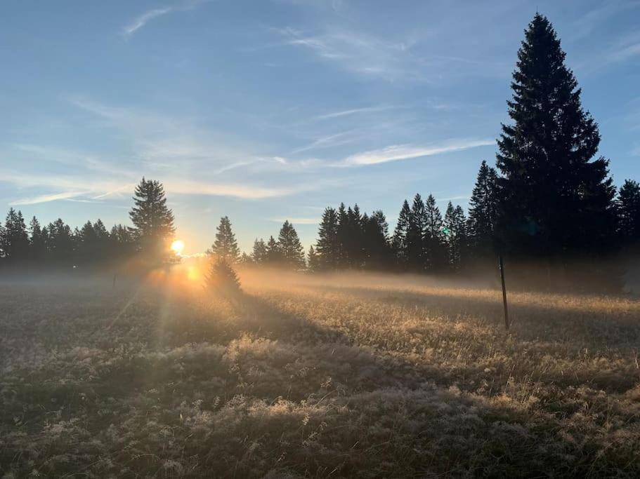 Feldberg, Direkt An Der Skipiste, Urgemütliche Stube9 *